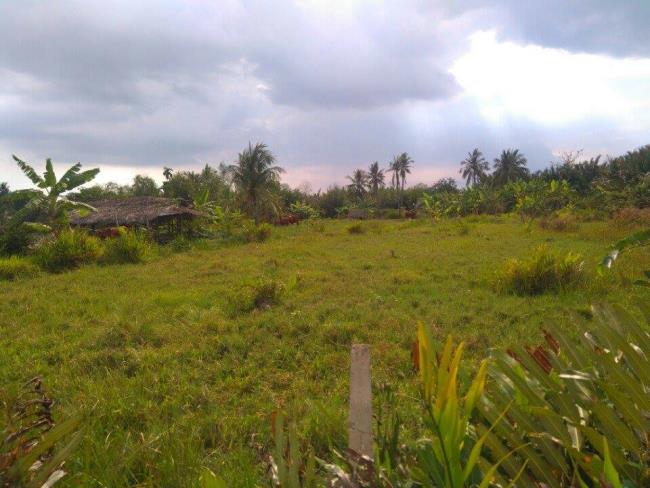 Cho thuê đất 6000m2 làm bãi xe mặt tiền đường Cầu Kinh Quận Bình Tân