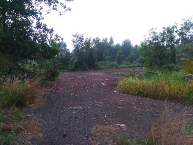 Cho thuê hơn 1.300m2 đất nông nghiệp làm bãi xe, mặt tiền đường Mai Chí Thọ, Quận 2