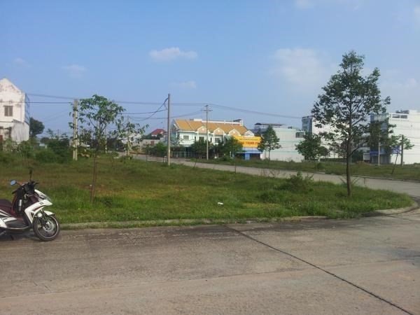 Cần bán gấp toàn bộ 1500m2 đất. Giá bán từng nền 237 triệu