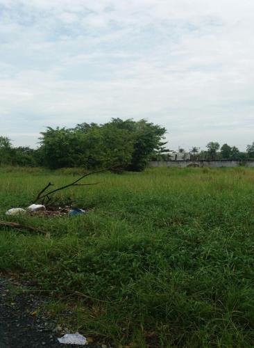 Diện tích 665m2. Măt tiền to rộng.,nơi ở phù hợp lý tưởng cho những ai thích phong cảnh h