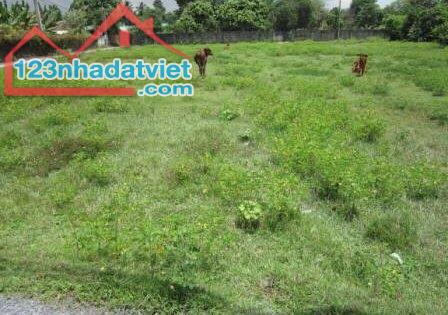 Bán đất MT đường Cầu Bà Mai, Ấp Trường Cửu, Xã Trường Hòa, Huyện Hòa Thành, Tỉnh Tây Ninh