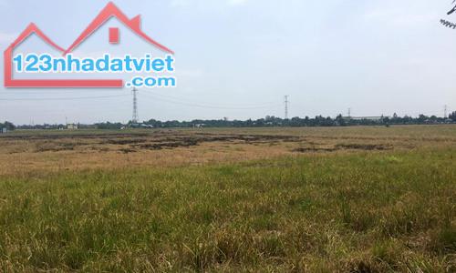 Cho thuê đất cụm công nghiệp Tam Điệp Ninh Bình DT 10.000m2 giá rẻ