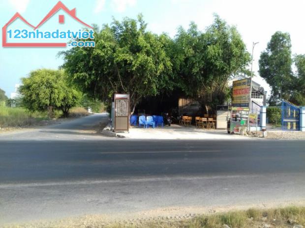 Cần tiền trả nợ bán gấp đất MT Tỉnh lộ 852, Xã Tân Dương, huyện Lai Vung, Đồng Tháp