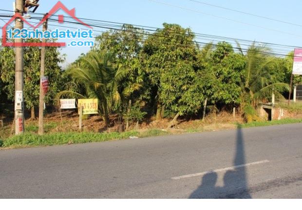 Chia tài sản bán đất ở Ấp Tân Lộc A, Tân Dương, Lai Vung, Đồng Tháp