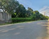 Bán lô đất vườn Ngang 15x36m mặt tiền An Sơn 01 (trục chính) Cách Nhà Thờ Bình Sơn 300m