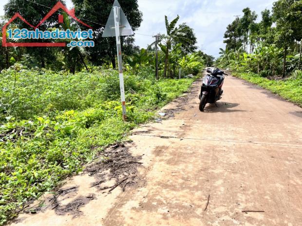 ✳️Bán đất 10x32m gần trạm công an Hoà Phú hẻm quốc lộ 14 Buôn Ma Thuột - 2