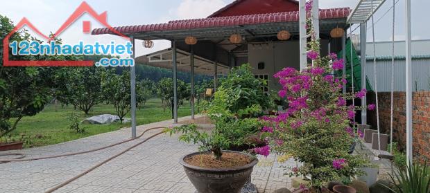 Vườn Bười đường xe tài Bình Lợi, Vĩnh Cửu, Đồng Nai, 6600m2, giá 10 tỷ 500. - 5