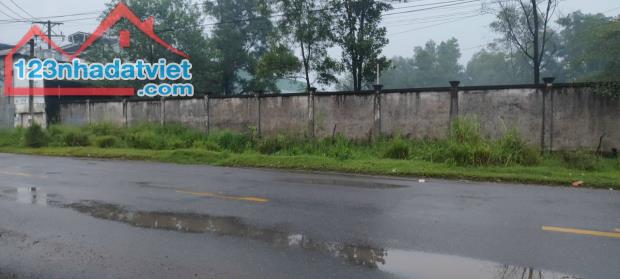 Cho thuê 2 Hecta  đất đường Võ Nguyên Giáp, Phước Tân giá tốt nhất chỉ 8000 đồng/m2