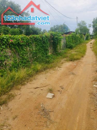 Bán 12 x 29 đất Thổ cư Tân An, thị xã LaGi HẠ GIÁ 50%, Sổ hồng riêng - 3