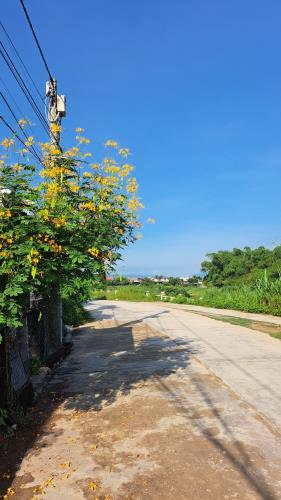 Bán đất view Sông Dinh Ninh Hoà, đường ô tô né nhau giá 1,1 tỷ - 1