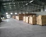 Cho thuê kho xưởng trong khu công nghiệp AMATA Biên Hòa, Đồng Nai