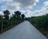 🎀Bán nhà 4x15m Nn Giá 340 triệu 🌹cách đường Liên Thôn 8 tầm 25m Cư Bur Buôn Ma Thuột  🍀