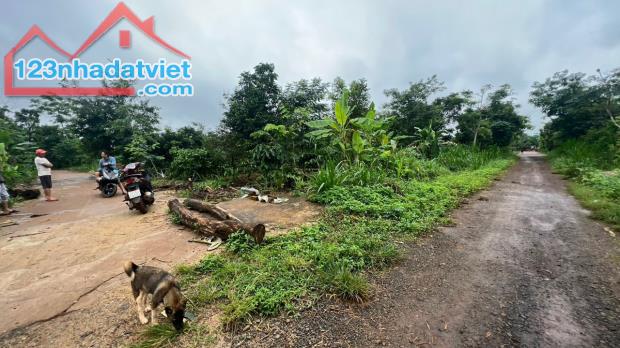 Bán đất 5x26m thổ cư Chỉ 160 triệu (bìa riêng) gần ủy ban xã Ea Drong , CN Phú Xuân - 1