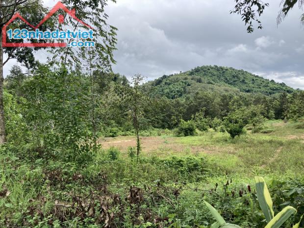 ✅Vị Trí Đất Làm Mô Hình Nghỉ Dưỡng Tâm Linh Tại Huyện Tân Phú, Đồng Nai - 3