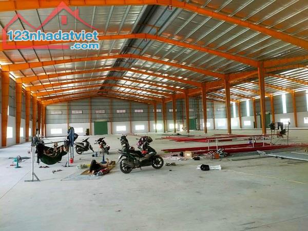 Cho thuê kho xưởng 2300m2 KCN Long Hậu, Huyện Cần Giuộc, Long An