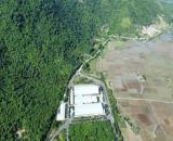 Bán đất Tân Phú Ninh Ích đường bê tông 20m, có QH 1 phần thổ cư giá chỉ 500k/m2
