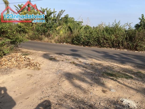 Bán 5x40 đất GIÁ NGỘP Nhựa Phú Lộc Phú Xuân - huyện Tân Phú GÍA RẺ 750 triệu - 2