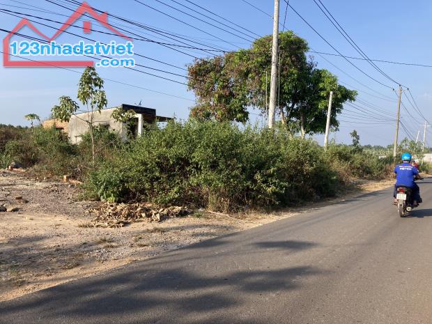 Bán 5x40 đất GIÁ NGỘP Nhựa Phú Lộc Phú Xuân - huyện Tân Phú GÍA RẺ 750 triệu - 4