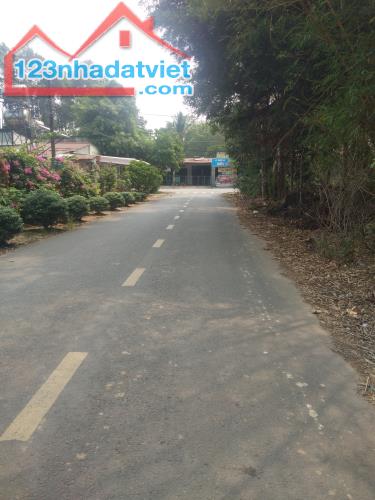 Bán 11x38 đất ONT Đường 600B, Huyện Tân Phú chưa qua đầu tư