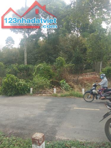 Bán 11x38 đất ONT Đường 600B, Huyện Tân Phú chưa qua đầu tư - 2