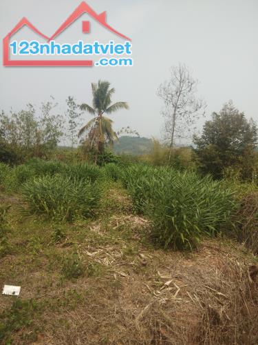 Bán 11x38 đất ONT Đường 600B, Huyện Tân Phú chưa qua đầu tư - 3