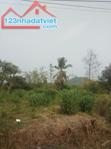 Bán 11x38 đất ONT Đường 600B, Huyện Tân Phú chưa qua đầu tư - 4