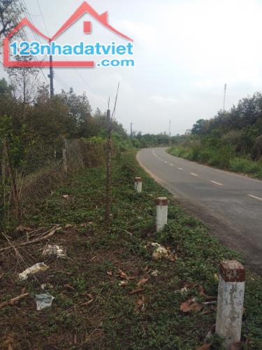 Bán 11x38 đất ONT Đường 600B, Huyện Tân Phú chưa qua đầu tư - 5