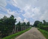 Bán 5.4 sào đất Phú Thịnh, Huyện Tân Phú tặng vườn trái cây, sổ riêng