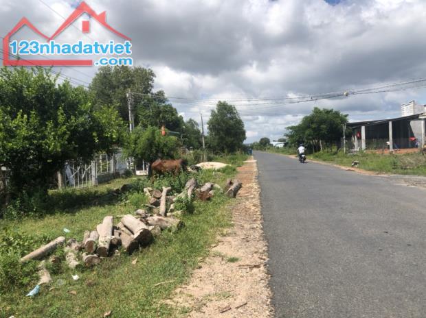 bán đất thổ cư gần biển thị xã LaGi, 10x50 Nguyễn Thông, Tân Bình. Giá NGợp - 5