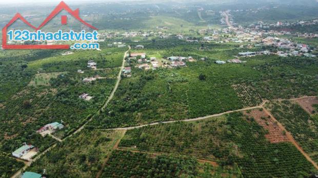 5 sào sẵn thổ cư Có 100m mặt tiền đường Sau UBND Xã Hoà Bắc - Di Linh - Lâm Đồng