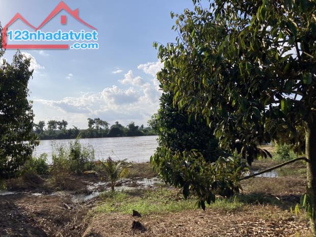 ✅Bán Gấp Homestay view Sông Đồng Nai, Huyện Tân Phú 5,2 Tỷ còn 4,8 Tỷ - 2
