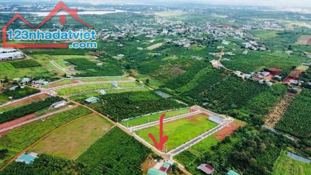 chủ ngộp bán lô đất 10x20 mặt tiền đường nhựa Bảo Lộc Lâm Đồng 0985451850