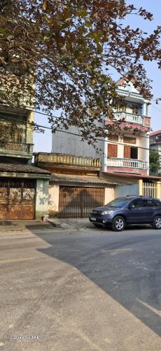 Chính chủ cần bán đất tặng nhà C4 trục đường tỉnh lộ 303 địa phận xã Tân Phong, Bình - 2