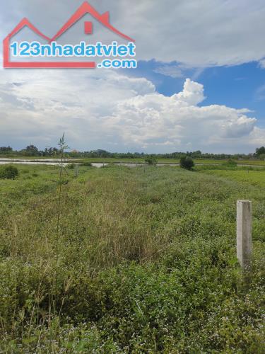 Chính chủ bán đất gần chợ Phước Vân, 5x35m full thổ, đường xe tải, SHR - 1