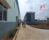 Cho thuê xưởng KCN Giang Điền diện tích 10.691m2 giá chỉ 4,5 đô/m2