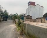 Cần bán gấp hai mảnh đất thổ cư đường ô tô trải nhựa tại trung tâm thôn Cam xã Cổ Bi