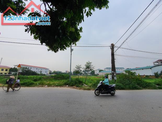 Chính chủ bán gấp 317m2 đất thổ cư 2 mặt tiền trung tâm Hợp Hòa Tam Dương Vĩnh Phúc - 1
