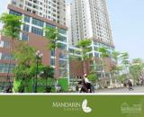 Chính chủ cần bán căn hộ tại chung cư Mandarin Garden 2, Đường Trương Định, Phường Tân