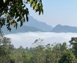 Em bắt đầuu nhận cọc các lô thuộc dự án nghỉ dưỡng săn mây hot nhất Hiền Lương, Đà Bắc