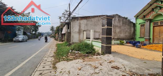Bán gấp nhà mặt đường quốc lộ 217 xã Cẩm Bình, huyện Cẩm Thủy, tỉnh Thanh Hóa, 738m2, MT - 4