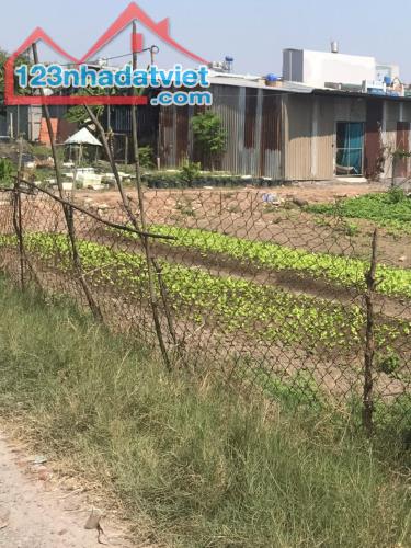 Bán Đất 13 x 15m Gần Cầu Dừa Lê Văn Khương, Hóc Môn Sát Q12 - 2