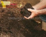 Đất màu trồng cây sạch, giá thể giá rẻ ở Đồng Nai, TPHCM