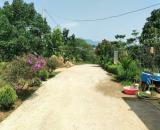 ✅✅Bán đất nghỉ dưỡng vườn trái cây tại Lộc Nga Bảo Lộc