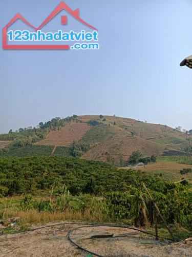 ĐẤT ĐẸP – GIÁ TỐT - Chính Chủ Cần Bán nhanh lô đất tại Đăk Vang, Sa Loong, Ngọc Hồi, Kon - 2