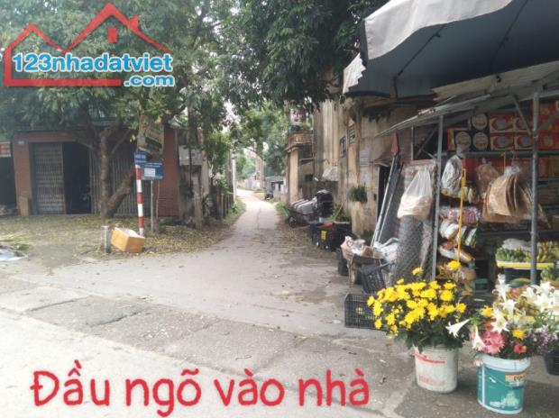 Bán đất đã có nhà 2 tầng hiện đang kinh doanh quán cafe xã Ngọc Sơn, Hiệp Hoà,Bắc Giang - 1