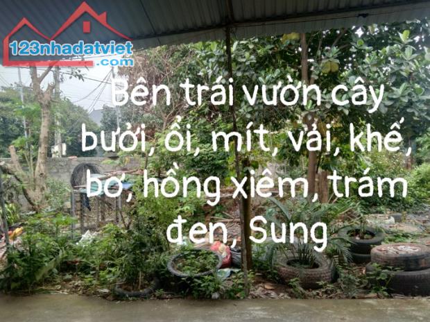 Bán đất đã có nhà 2 tầng hiện đang kinh doanh quán cafe xã Ngọc Sơn, Hiệp Hoà,Bắc Giang - 8