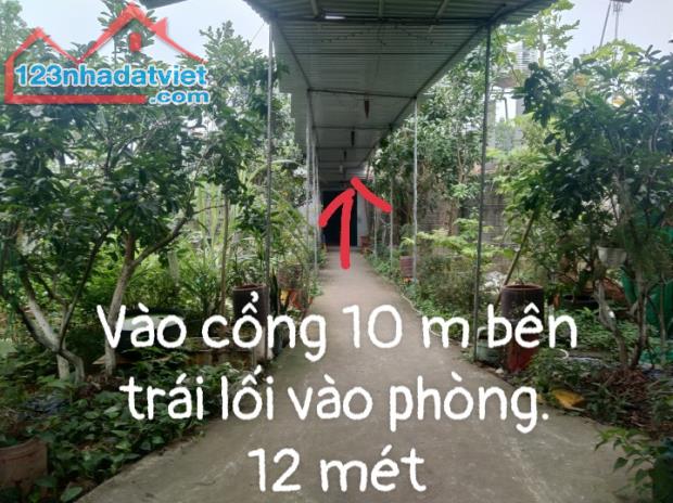 Bán đất đã có nhà 2 tầng hiện đang kinh doanh quán cafe xã Ngọc Sơn, Hiệp Hoà,Bắc Giang - 9