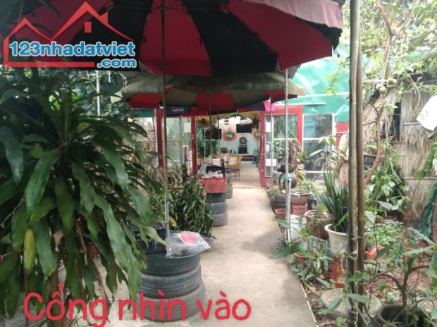 Bán đất đã có nhà 2 tầng hiện đang kinh doanh quán cafe xã Ngọc Sơn, Hiệp Hoà,Bắc Giang - 10
