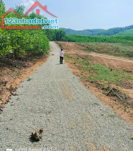 Bán đất vườn Khánh Nam giá rẻ giáp suối - đường oto cách bê tông 200m - 1