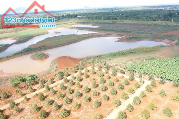 Bán Vườn sầu riêng view Hồ Suối Rang, Xuân Tây, Cẩm Mỹ, 13038m2, giá 15 tỷ.